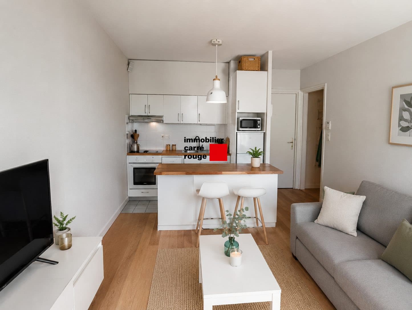 Viager occupé  à Biarritz - vue 3