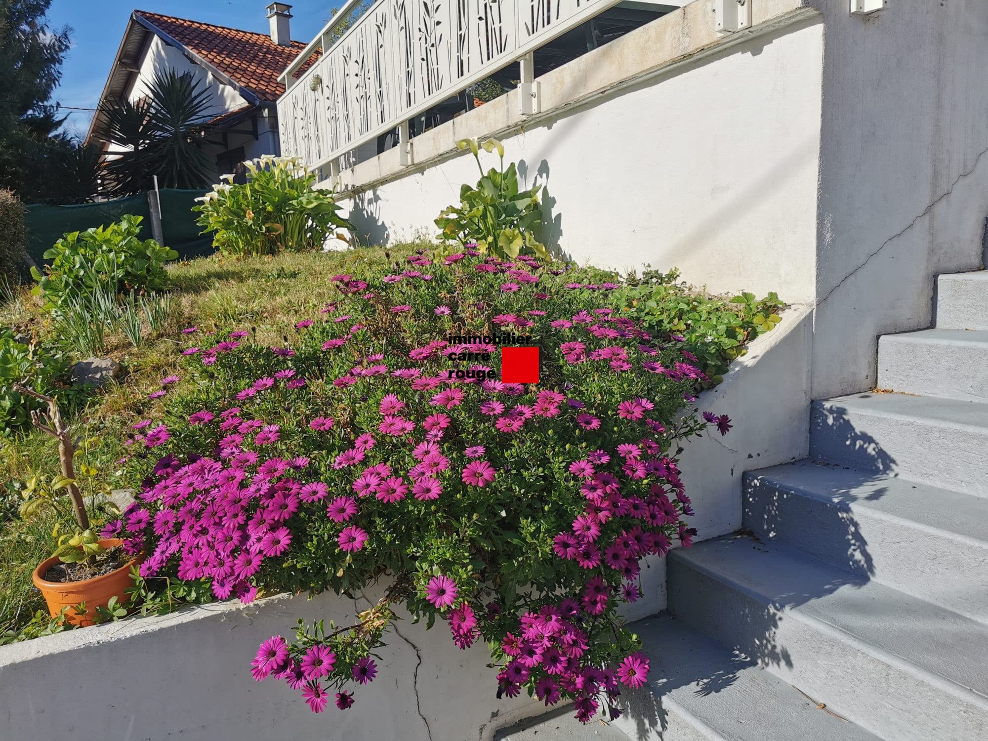 maison individuelle  Biarritz - vue 2